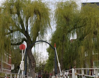 Groningen investeert 24 miljoen euro in vergroening