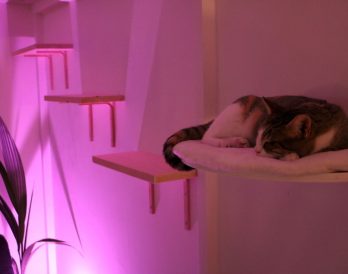 Poezencafé? We gingen op bezoek