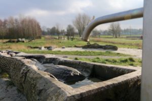 De speelnatuur van Oerrr