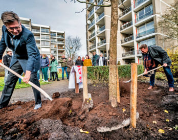 Nijestee gaat los en plant honderd bomen